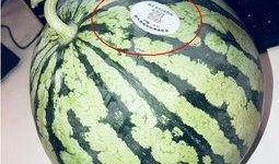 临沧网红吃瓜,揭秘网络红人的幕后故事